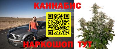 амф Можга