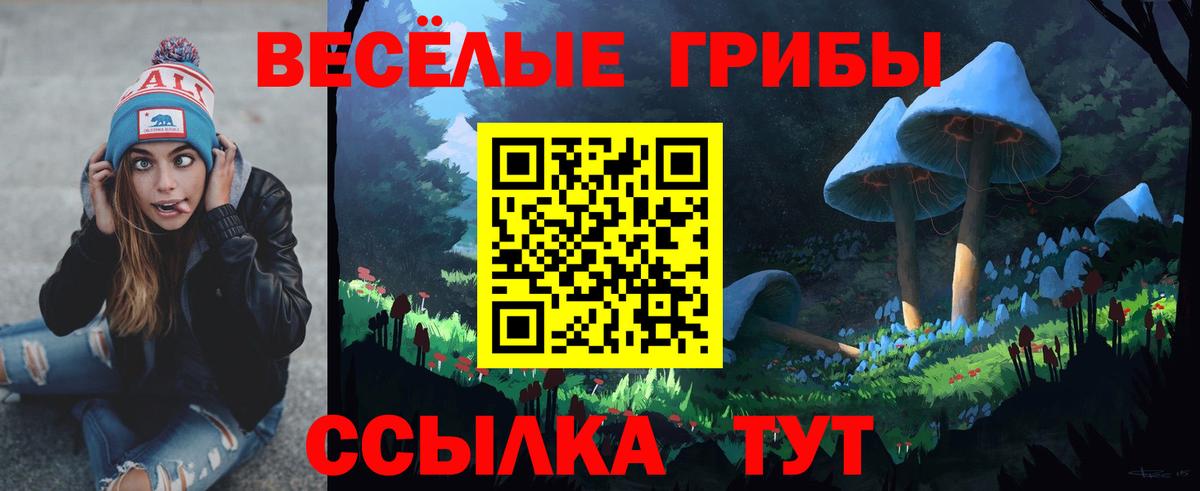Галлюциногенные грибы мухоморы  Вход с VPN  Вязники 